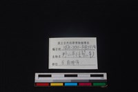 長鬃山羊骨藏品圖，第3張