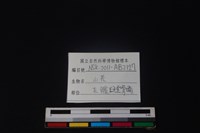 山羌骨藏品圖，第3張