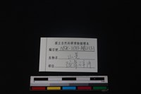 山羌骨藏品圖，第3張
