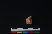 山羌骨藏品圖，第2張