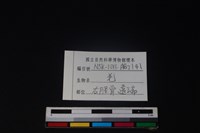山羌骨藏品圖，第3張