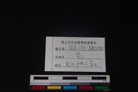 山羌骨藏品圖，第4張