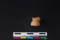 獐骨藏品圖，第1張