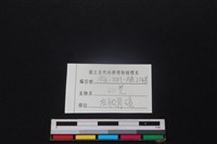 山羌骨藏品圖，第4張