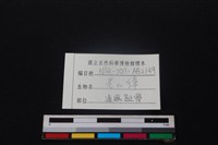 羌或獐骨藏品圖，第3張