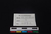 山羌骨藏品圖，第3張