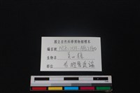 山羌骨藏品圖，第4張