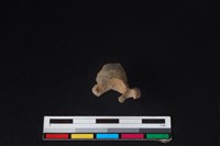 羌或獐骨藏品圖，第3張