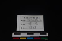 羌或獐骨藏品圖，第4張