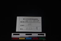 狗骨藏品圖，第4張