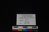 狗骨藏品圖，第4張
