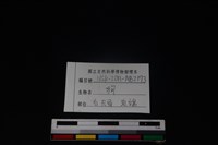 狗骨藏品圖，第3張