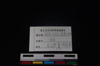 狗骨藏品圖，第3張