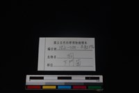 狗骨藏品圖，第3張