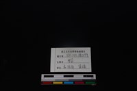 狗骨藏品圖，第4張