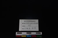 狗骨藏品圖，第3張