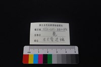 鹿科骨藏品圖，第3張