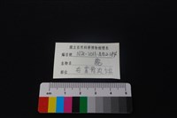 鹿科骨藏品圖，第3張