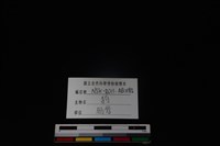 狗骨藏品圖，第3張