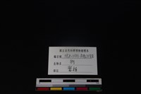 狗骨藏品圖，第5張