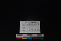 狗骨藏品圖，第6張