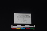 狗骨藏品圖，第3張