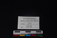 狗骨藏品圖，第4張