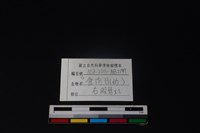 食肉目骨藏品圖，第3張