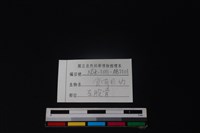 食肉目骨藏品圖，第3張