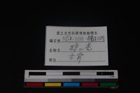 羌或獐骨藏品圖，第3張