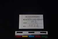野兔骨藏品圖，第3張
