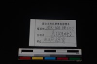 雉科骨藏品圖，第3張