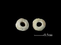 玻璃珠藏品圖，第1張