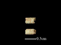 玻璃珠藏品圖，第1張