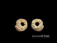 玻璃珠藏品圖，第1張