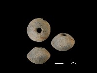 紡輪藏品圖，第1張