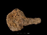 鐵鏟藏品圖，第1張