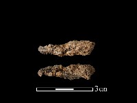 尖器藏品圖，第1張