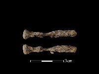 鐵釘藏品圖，第1張