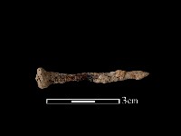 鐵釘藏品圖，第1張