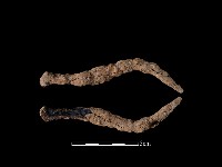 鐵釘藏品圖，第1張