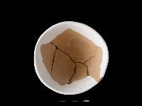 陶缽藏品圖，第3張