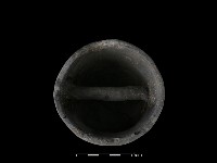 陶蓋藏品圖，第5張