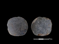 陶片藏品圖，第1張