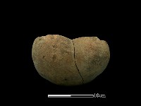 陶罐藏品圖，第2張