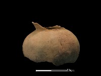 陶罐藏品圖，第2張