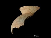 陶罐藏品圖，第2張