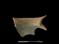 陶罐藏品圖，第2張