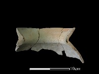 陶罐藏品圖，第1張