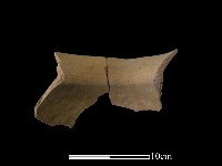 陶罐藏品圖，第2張